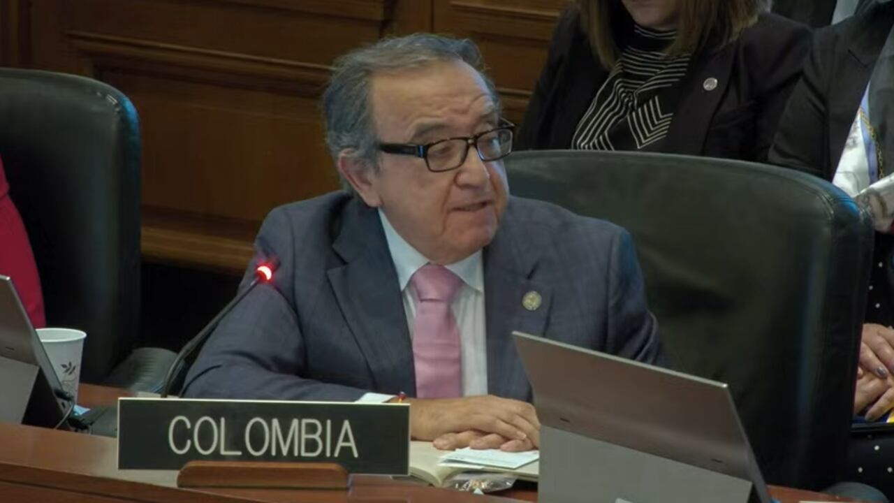 Luis Vargas, embajador ante la OEA.