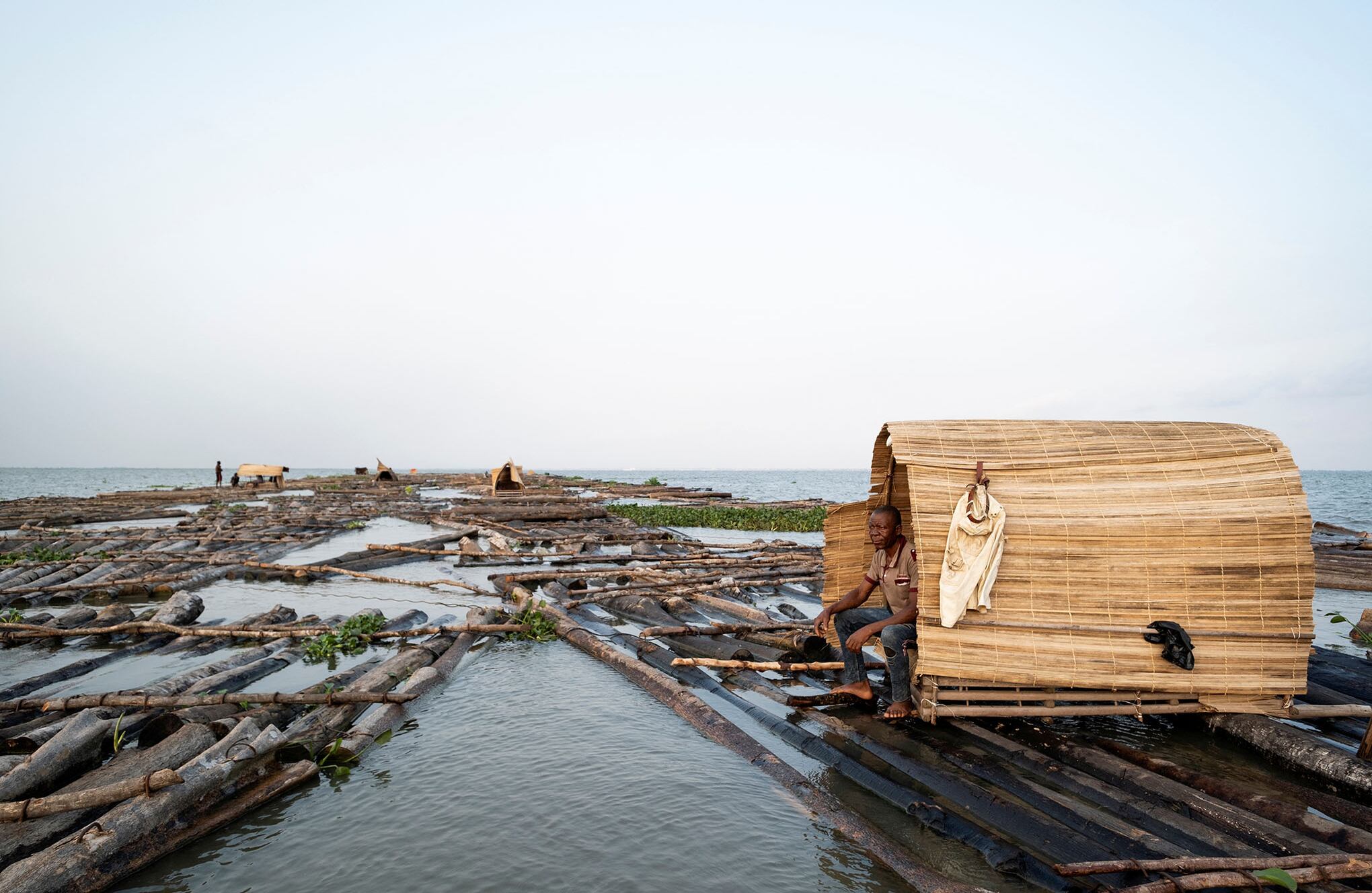 En imágenes : los bosques en extinción de Nigeria