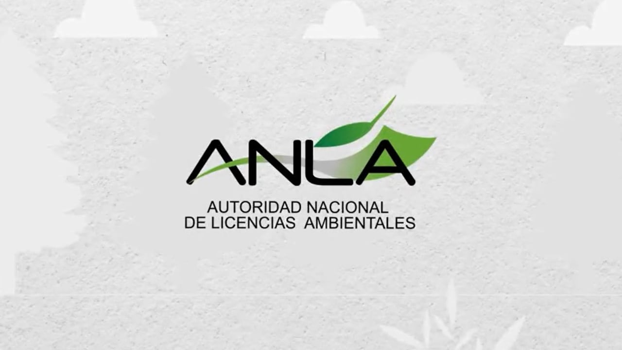 Entre el 7 de agosto de 2022 y el 30 de junio de 2023, se han iniciado 146 nuevas investigaciones sancionatorias por presuntas infracciones ambientales.
