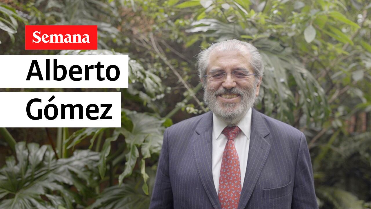 Alberto Gómez cuenta que son más de 1.500 mariposas y 40 especies nativas las que le dan vida a este espacio. En el jardín, ubicado en Calarcá, también se encuentra una de las colecciones de palmas nativas más importantes. Hasta aquí llegan cada vez más viajeros atraídos por el turismo de naturaleza que según Gómez ha crecido gracias a la pandemia.