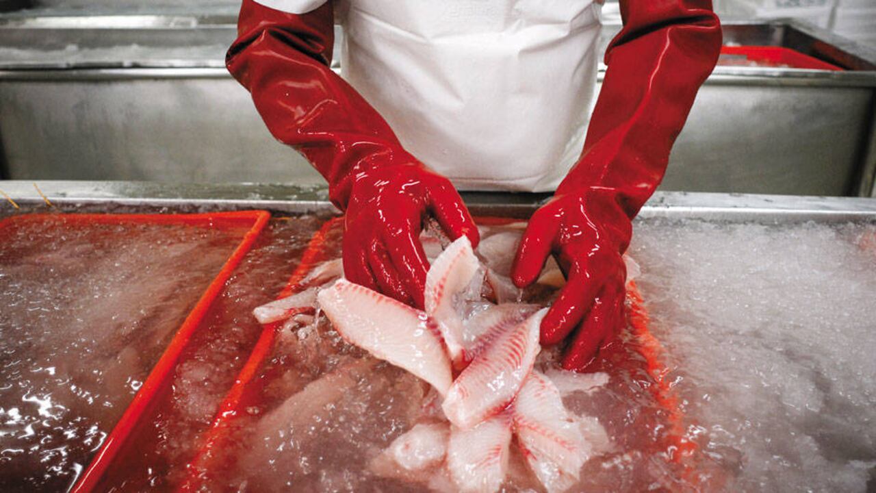 El consumo de pescado por persona al año en Colombia promedia los 7 kilogramos.