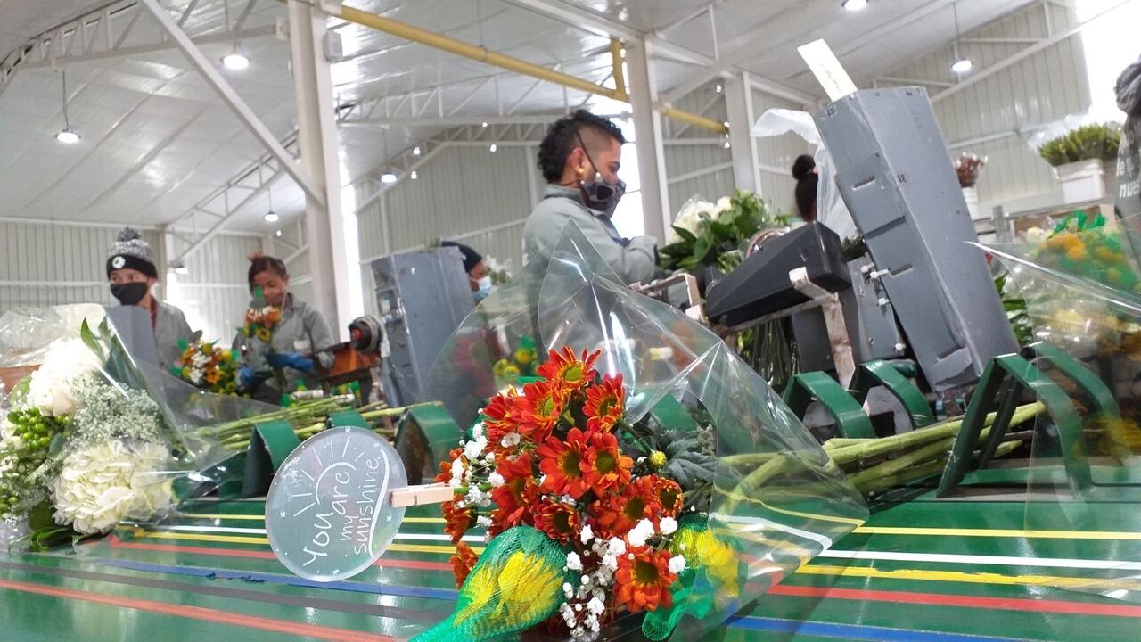 La empresa Sunshine Bouquet tiene programas de inclusión laboral para los migrantes venezolanos.