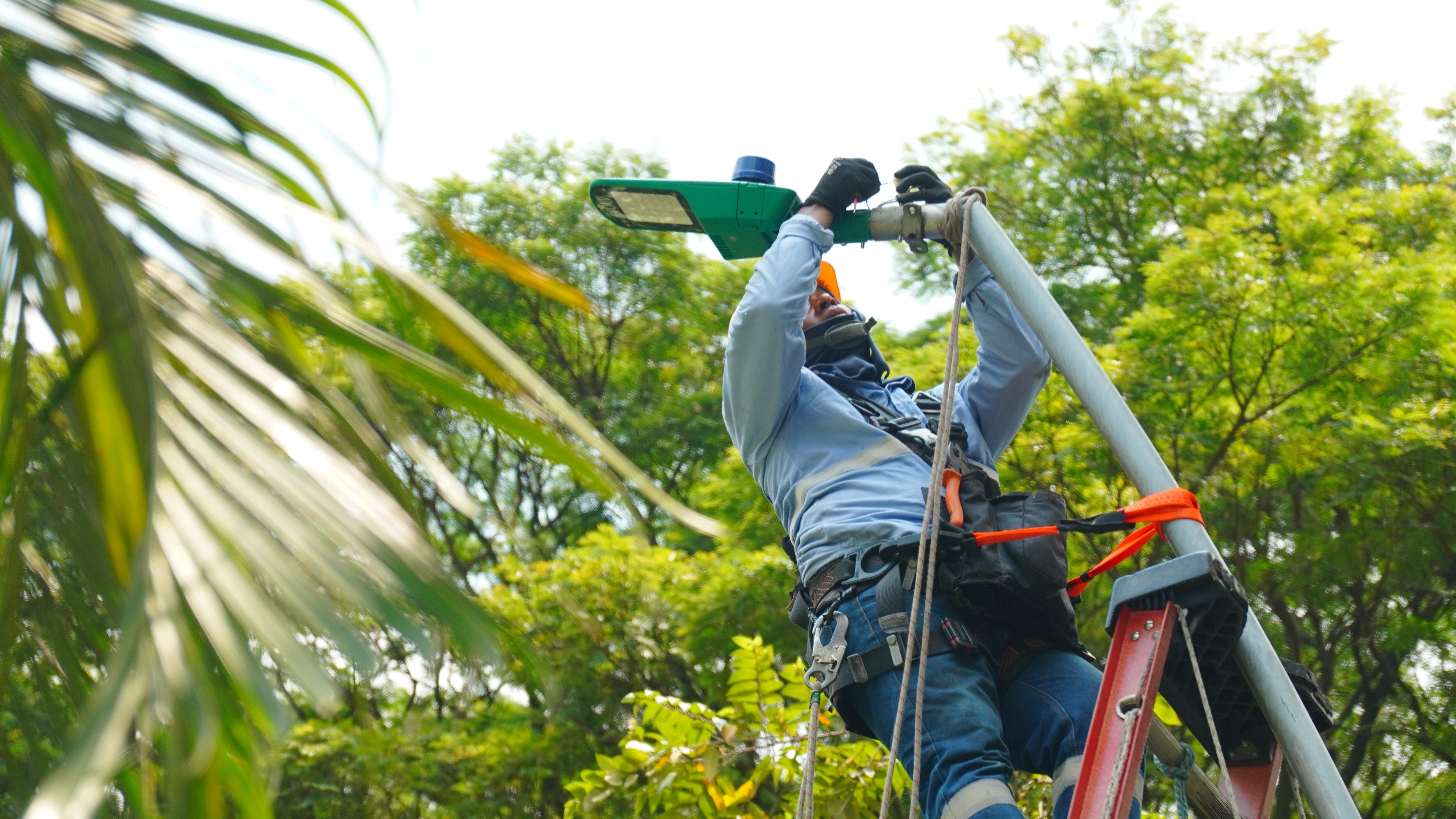 emcali alumbrado publico cali