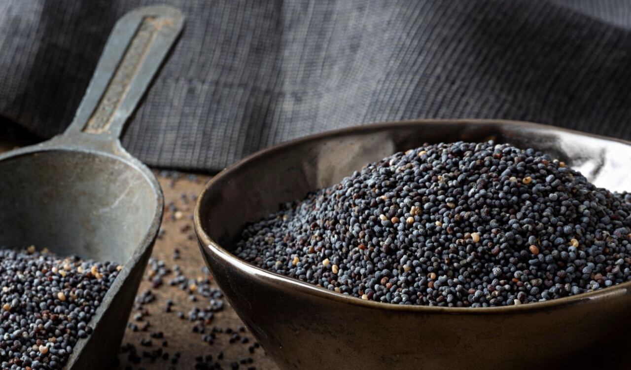 El alto contenido en fibra de las semillas de amapola hacen que el organismo tenga un gran tránsito intestinal