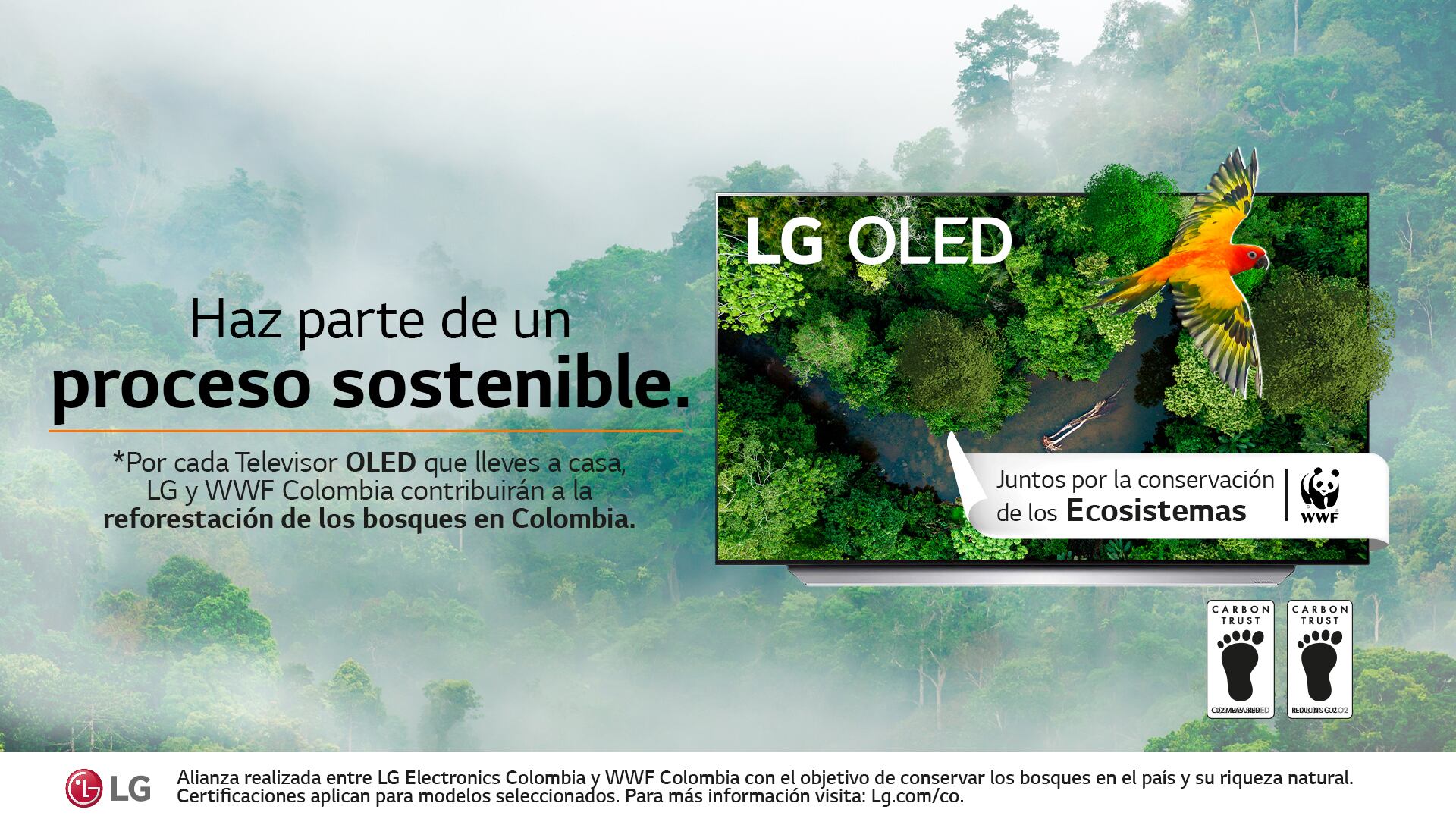 Así funciona LG OLED, el televisor que le apuesta a la ecotecnología y a reducir la huella de carbono