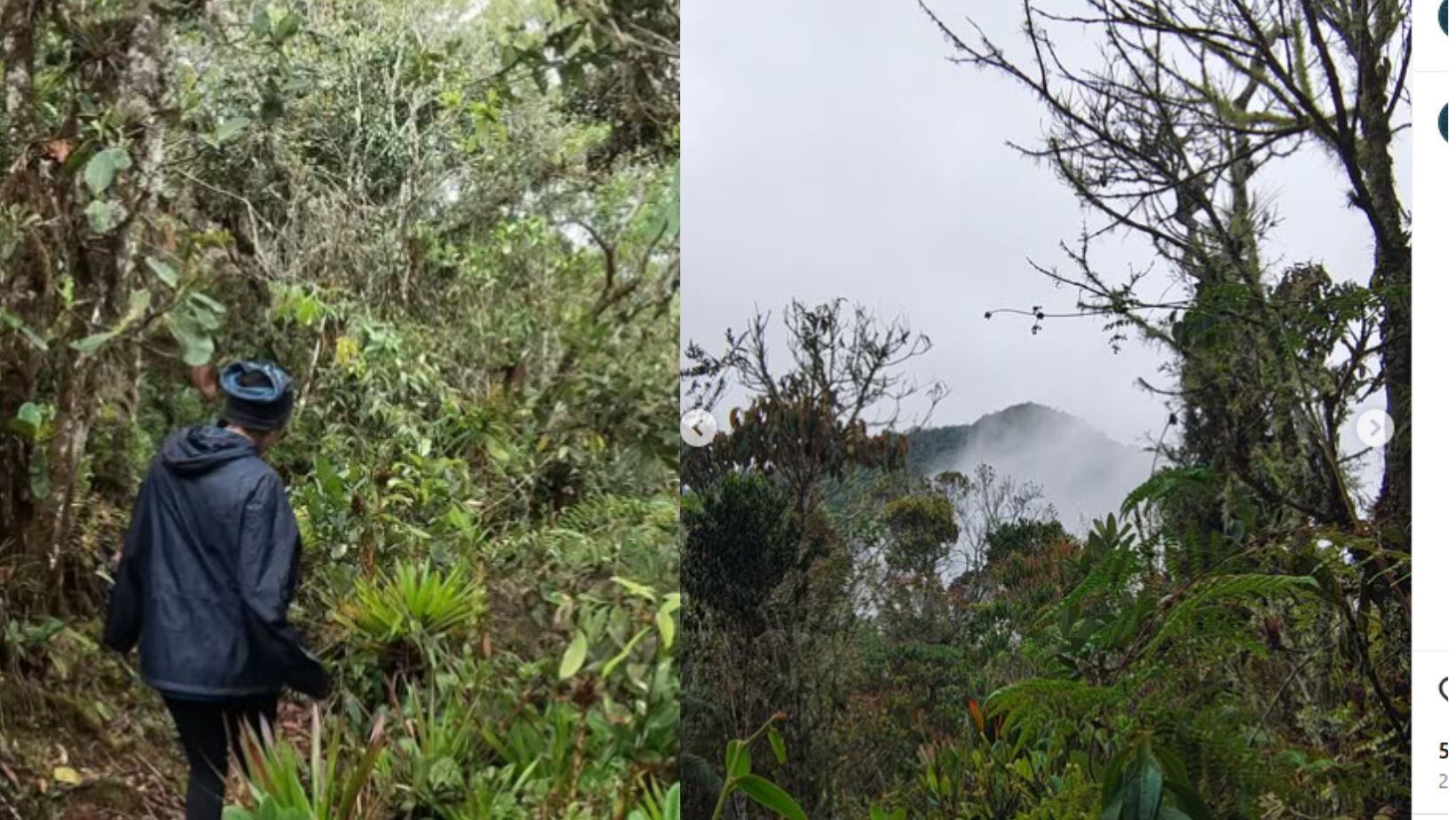 Cerro Bonifacio, Antioquia