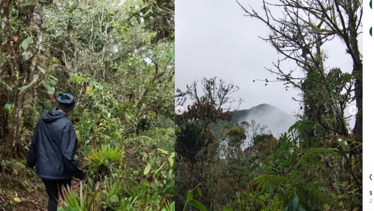 Cerro Bonifacio, Antioquia