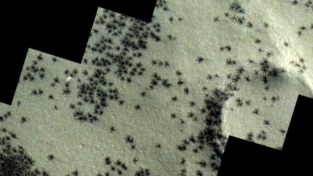 La pareidolia lleva al cerebro humano a identificar formas familiares, como arañas, en estructuras aleatorias del suelo marciano.