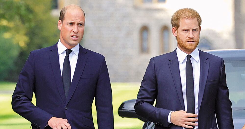 Los príncipes William y Harry. 