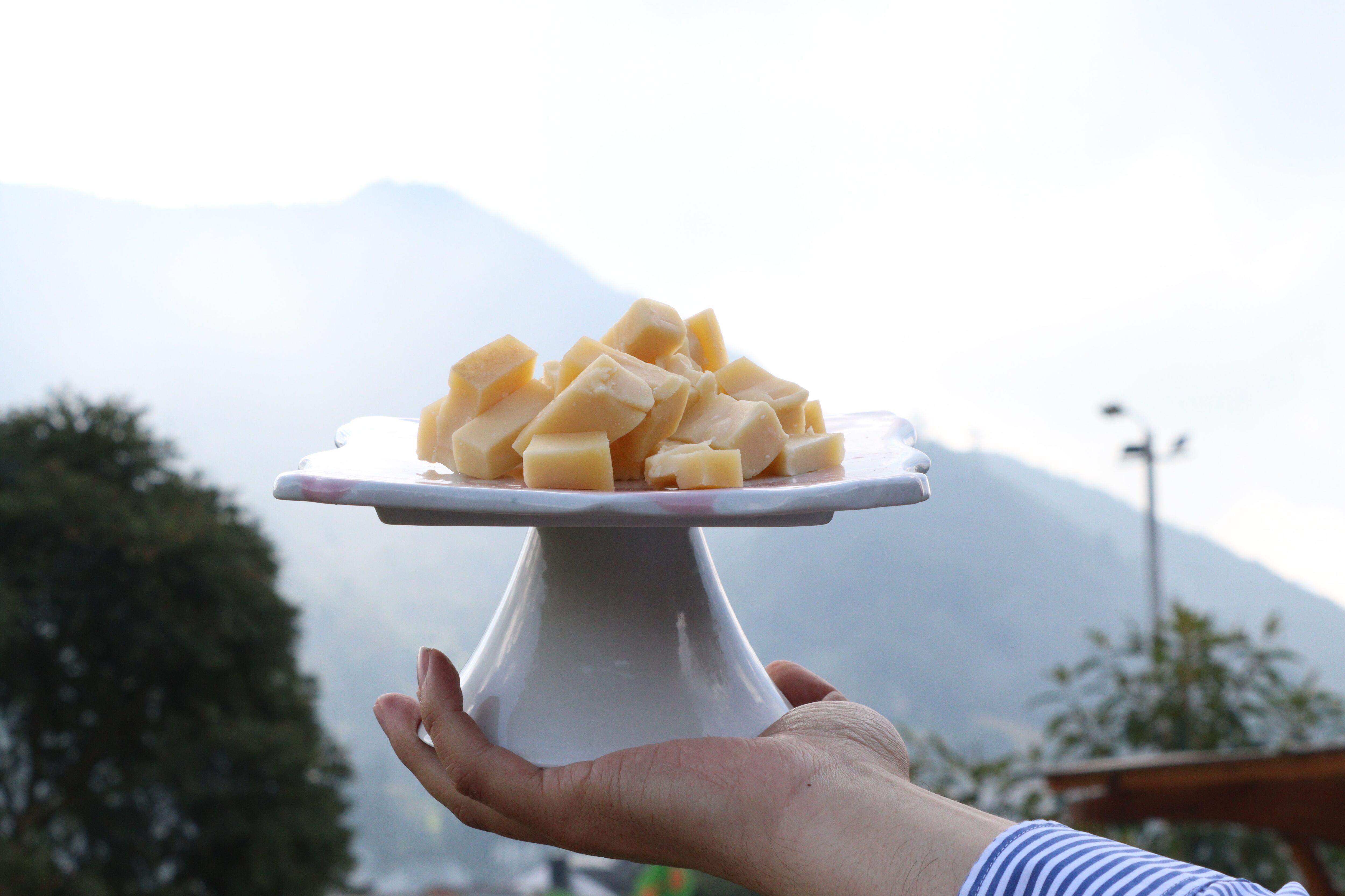 Festival del Queso en Sopó