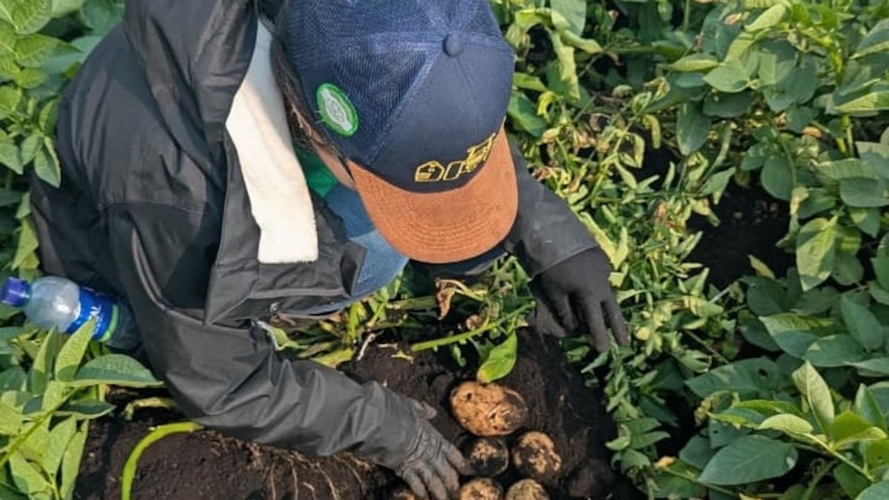 La reducción de emisiones en el agro empieza desde los insumos y prácticas en campo.