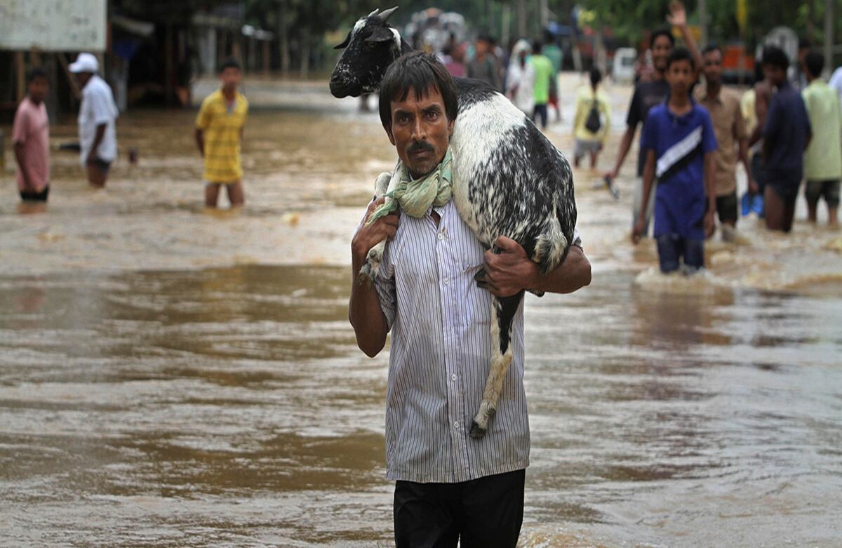 Un campesino de la India carga su cabra a los hombros mientras atraviesa un camino inundado. Las inundaciones y derrumbes han cobrado la  vida de por lo menos 28 personas. (AP)
