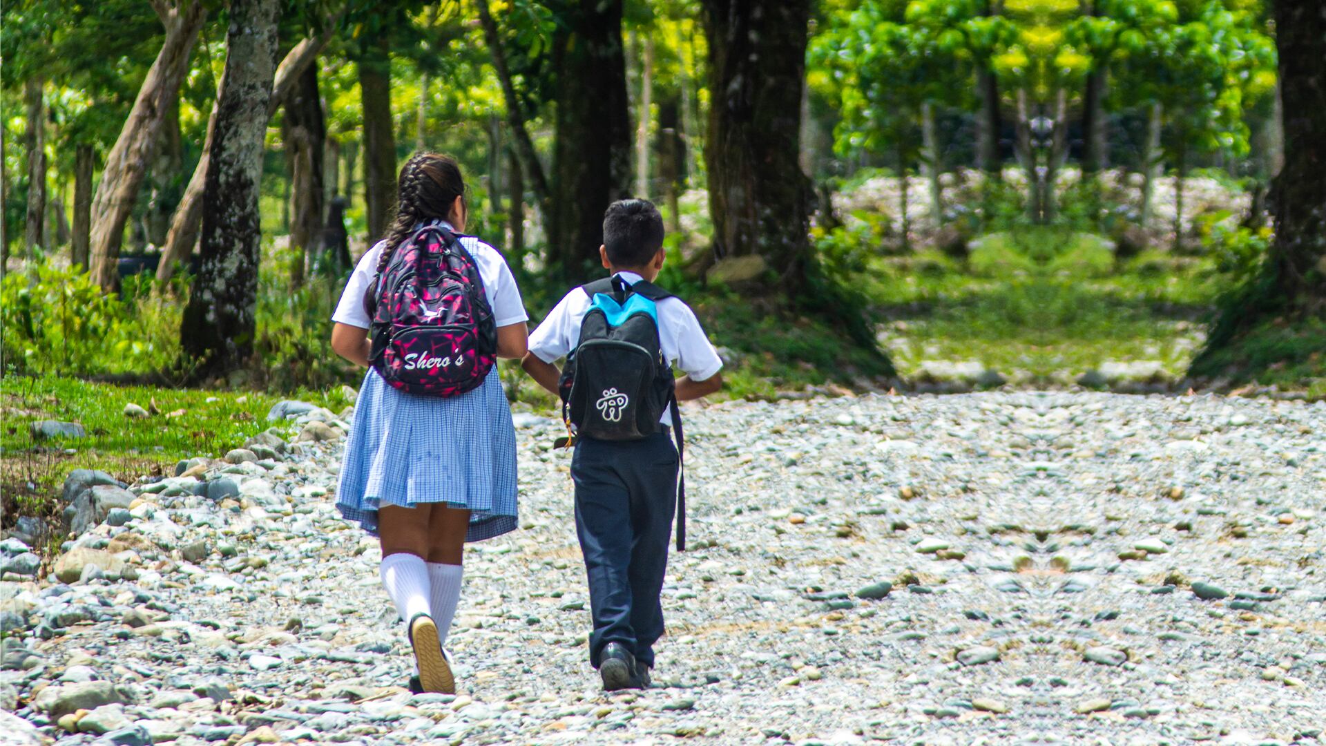 Especial Minería, Inversiones Poderosas