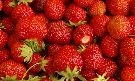 Las fresas tienen grandes nutrientes. 