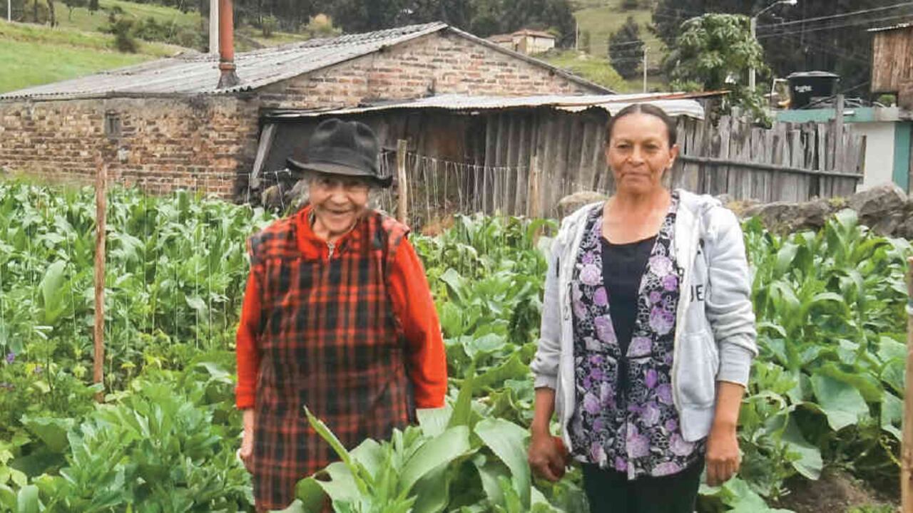 En Mongüi, Boyacá, varias mujeres campesinas fundaron Modos de Vida, una asociación que busca recuperar la siembra de especies nativas de la región.