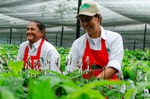 Gran Tierra Energy extiende su apoyo a la iniciativa NaturAmazonas por otros cuatro años .