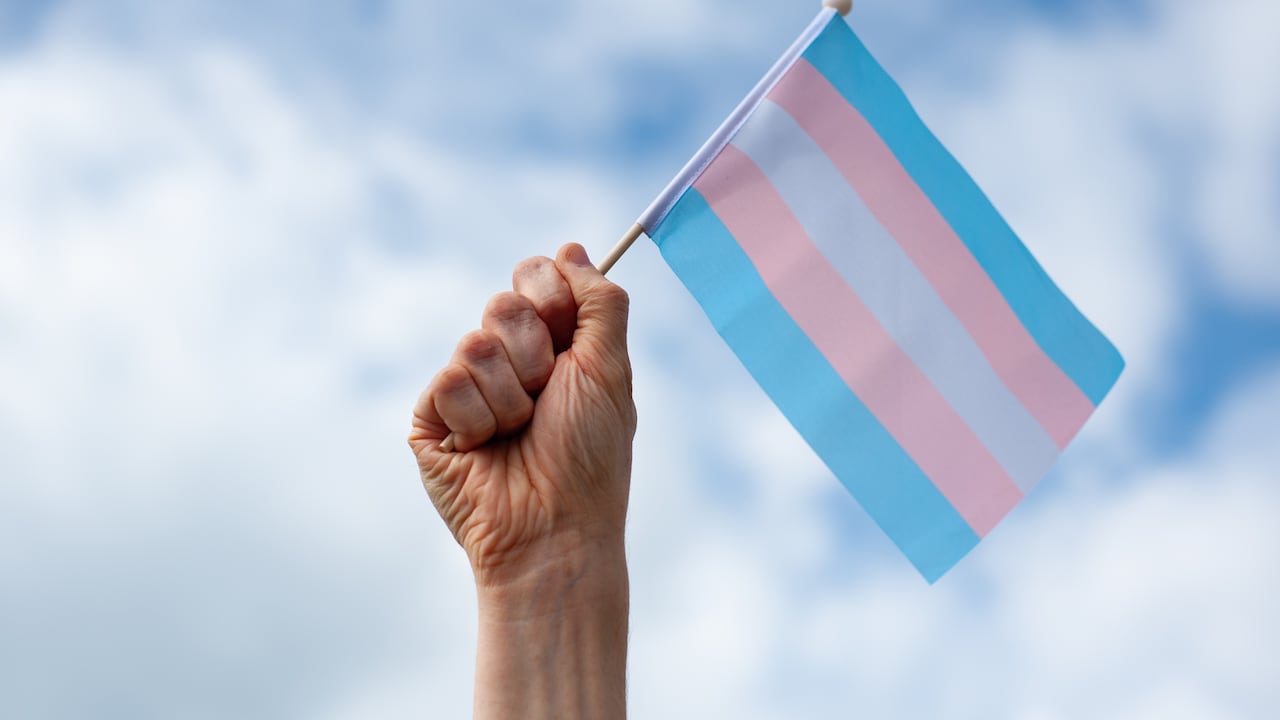 Una mano sostiene una pequeña bandera del orgullo transgénero.