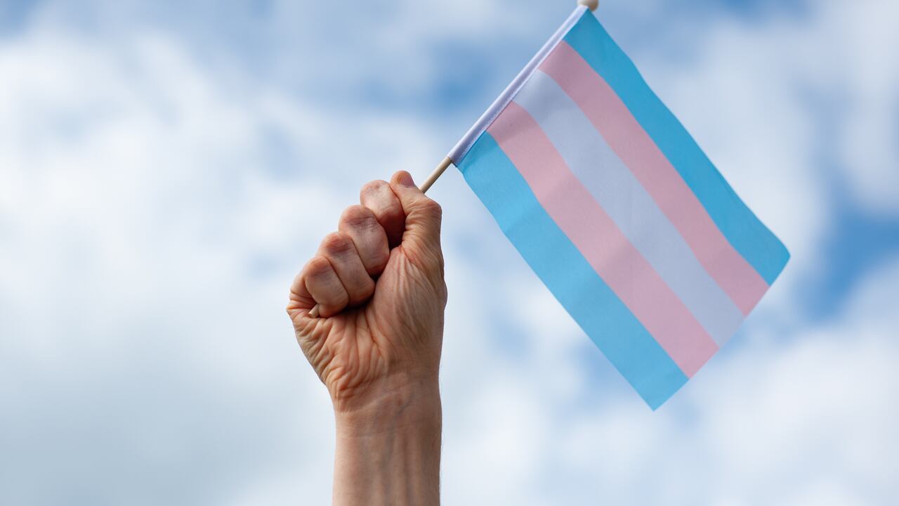 Esta bandera es un símbolo de orgullo para la comunidad trans.