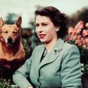 Willow, el perrito de raza corgi que la acompañó durante quince años.