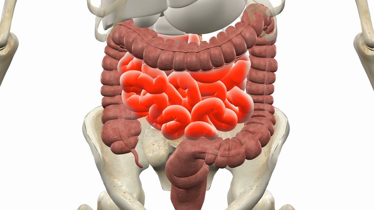 El proceso de digestión varía en cada persona