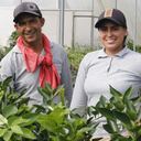 Comfama entendió que para impulsar el desarrollo de los municipios y sus habitantes son fundamentales las alianzas con los sectores público y privado.