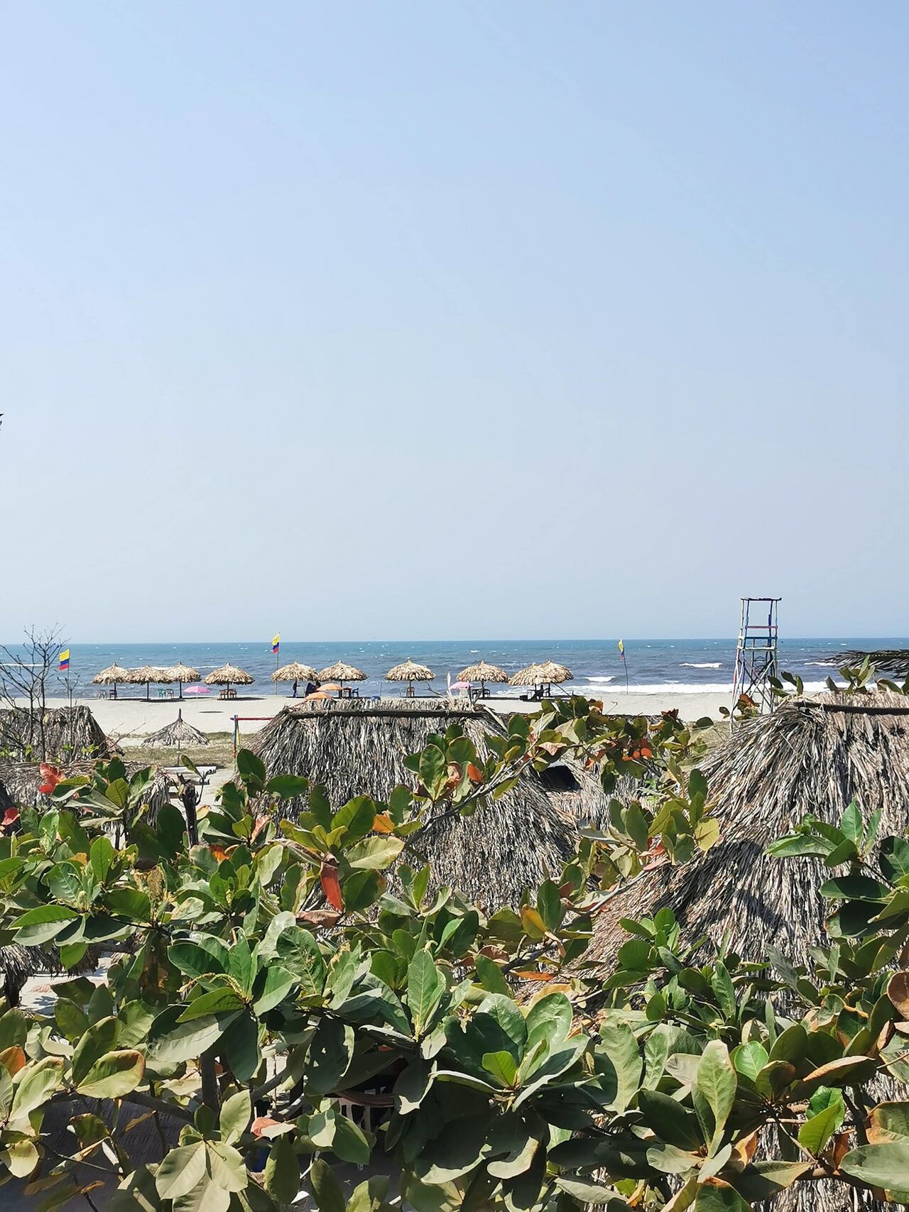 Ciénaga