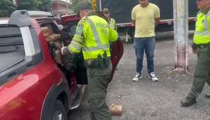 A la camioneta no la cabía una panela más de marihuana.