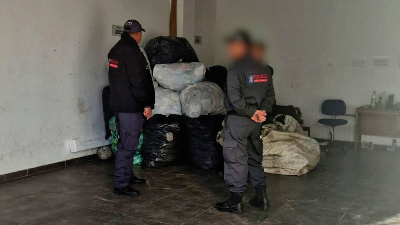 La red criminal se habría apropiado, en principio, de casi 7.000 millones de pesos. 
