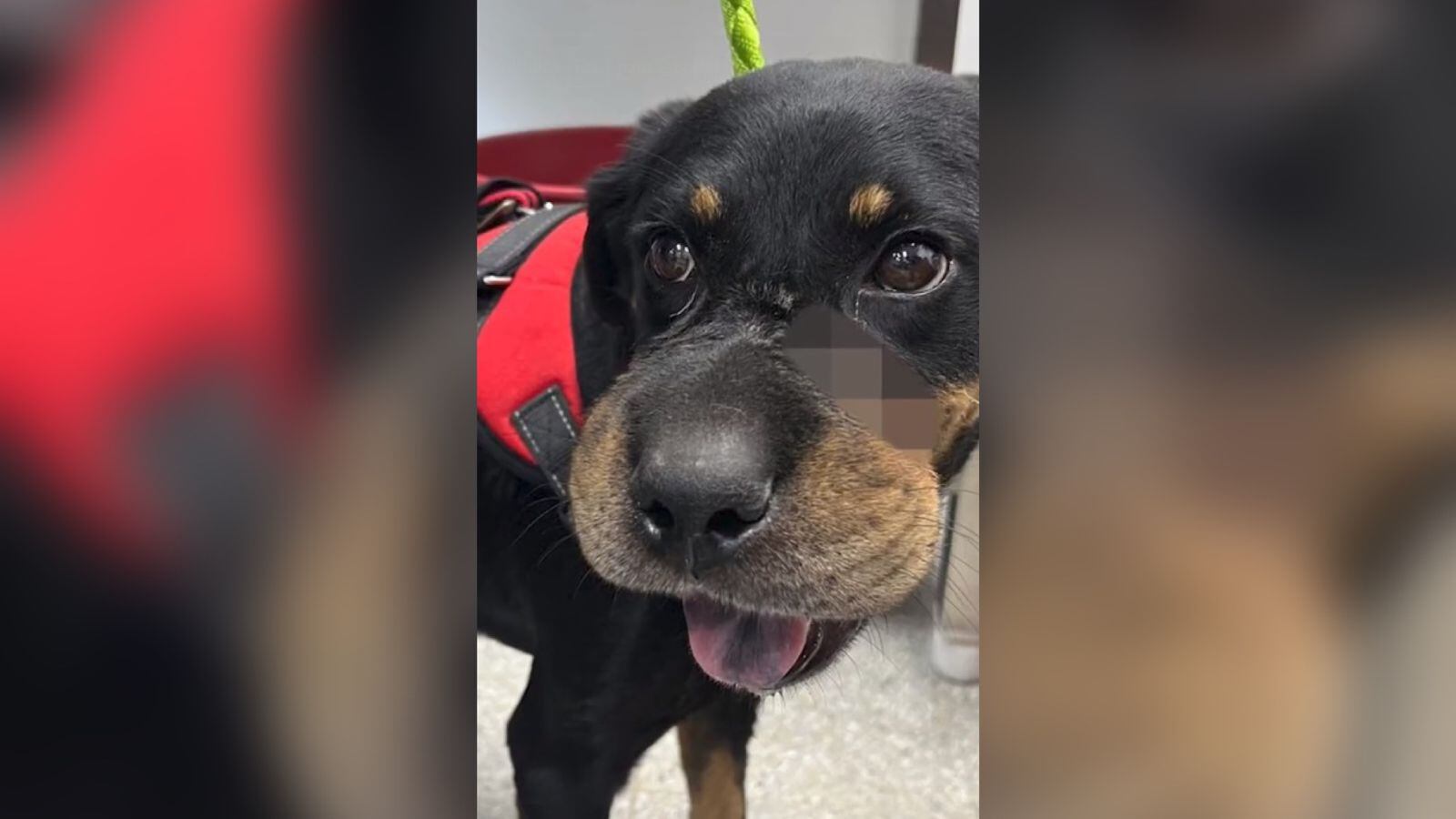 Elsa tiene tres años.