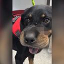 Elsa tiene tres años.