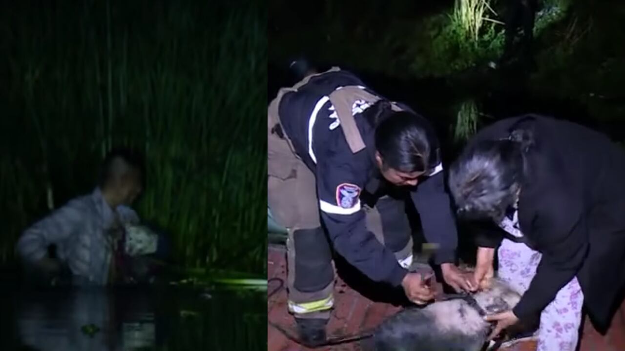 Luna fue rescatada por un reciclador a quien conocen como 'El Flaco'.