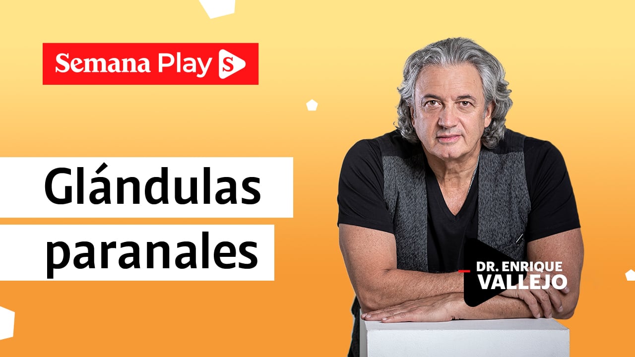 Glándulas paranales | Enrique Vallejo en Salud Animal
