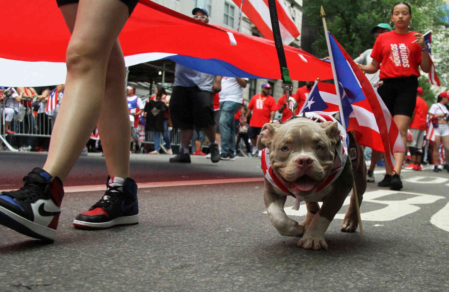 foto: Pablo Andrés Monsalve