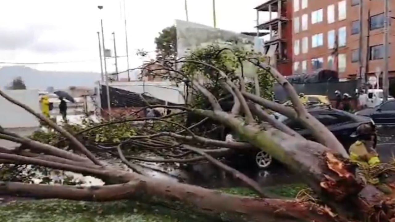 Un árbol caído sobre un vehículo particular en Bogotá.