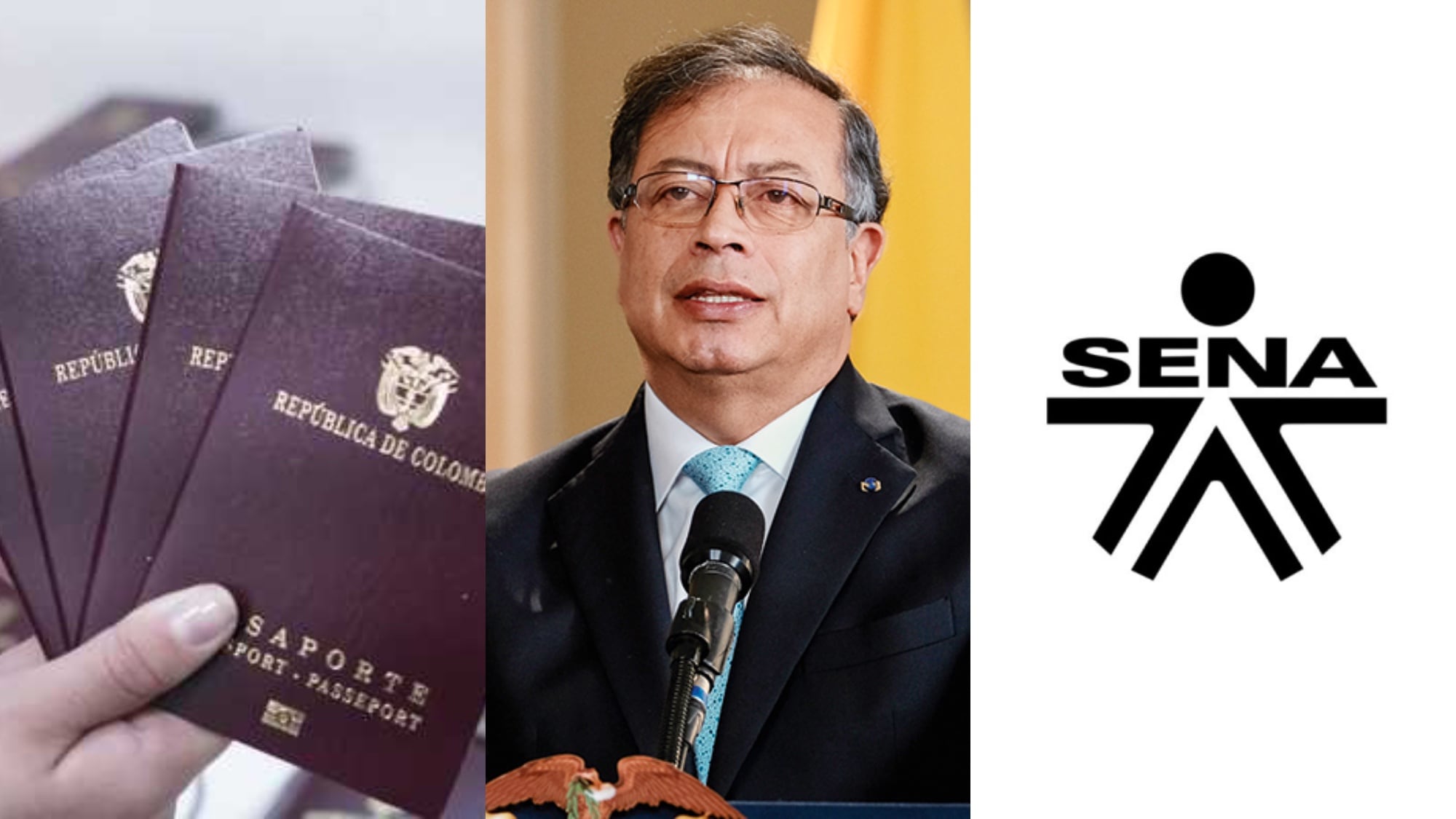 Gustavo Petro ordenó no contratar en licitaciones de un solo proponente.