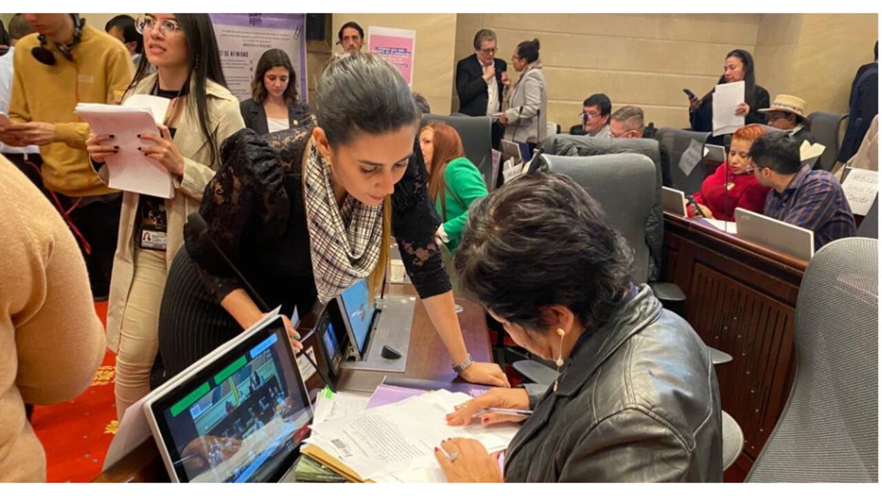 Erika Sánchez, segunda vicepresidenta de la Cámara, recogió firmas de apoyo entre sus colegas