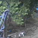 Las autoridades no han establecido recompensas por información que conduzca a los responsables de la explosión.