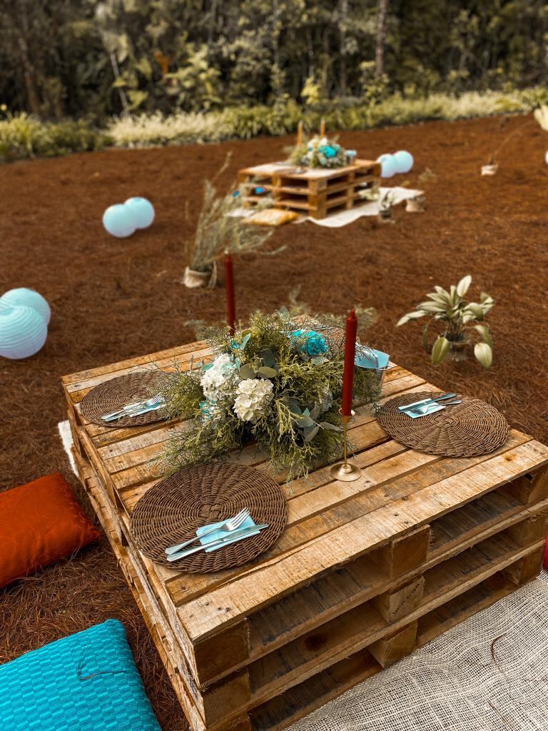 ¿Cuánto cuesta la entrada al Parque Arví, en Medellín, y en qué horarios se puede visitar?