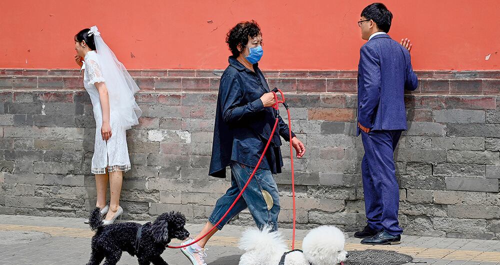 Una pesadilla que no termina_7