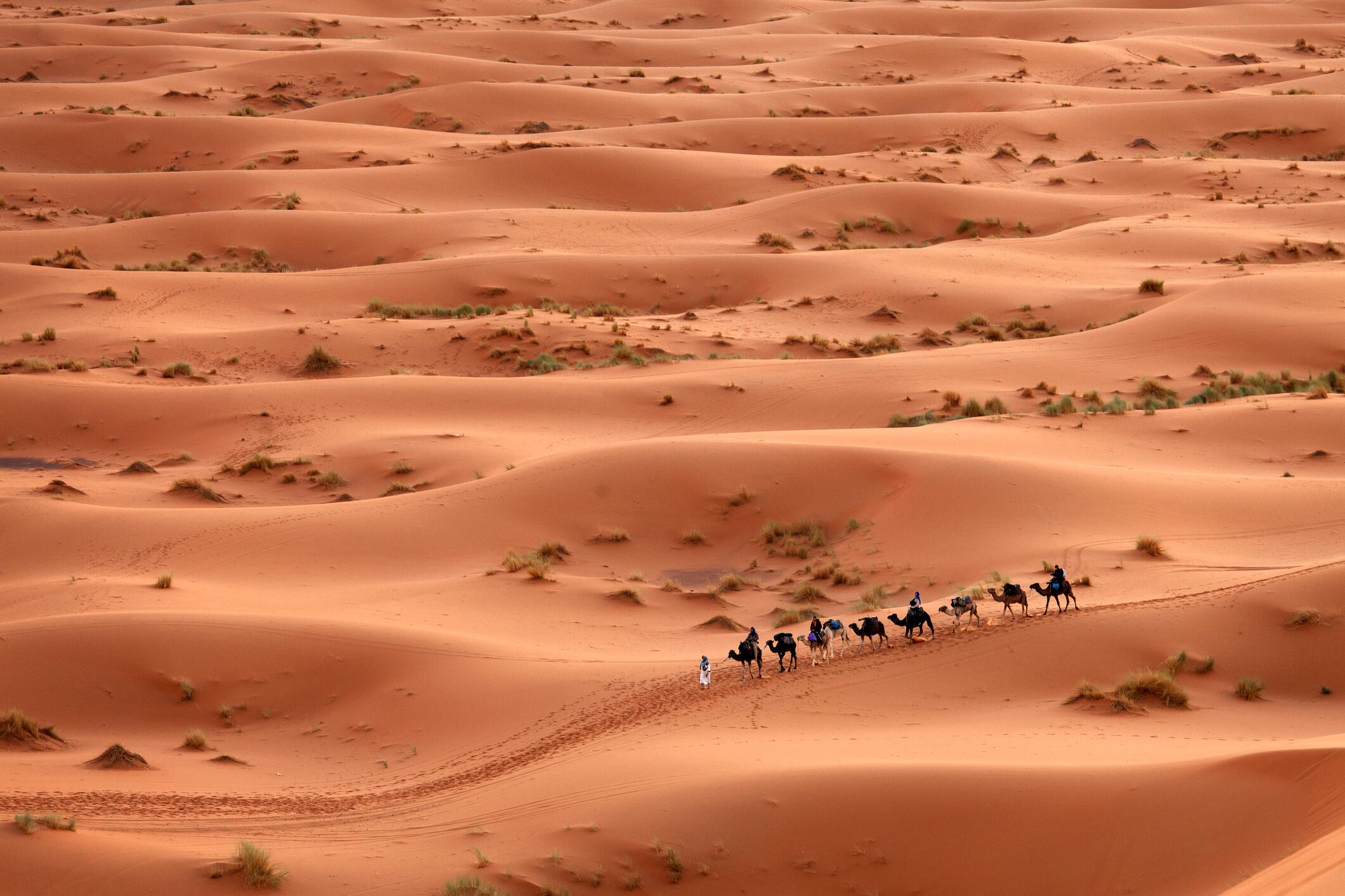Gente caminando por el Desierto de El Sahara