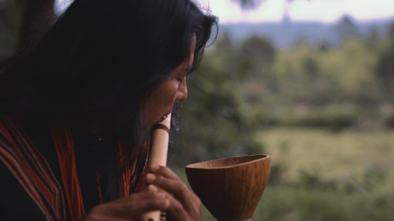 Fragmento del capítulo 'Flauteros de Tamabioy'