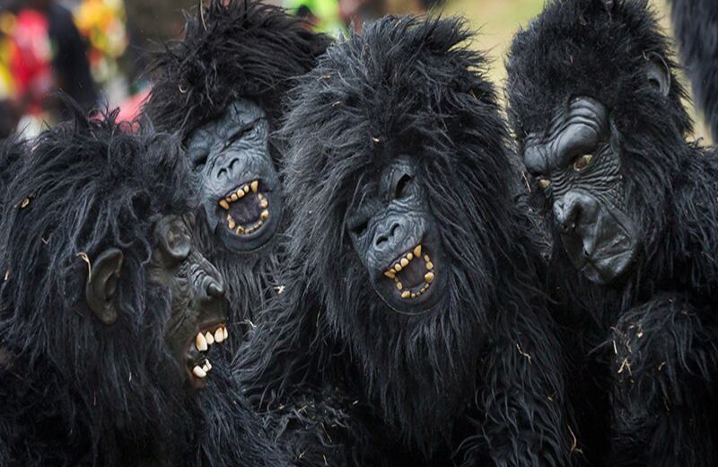 Jóvenes vestidos de gorila imitan el comportamiento de los animales que están en peligro de extinción, en una ceremonia en Kinigi, norte de Ruanda.