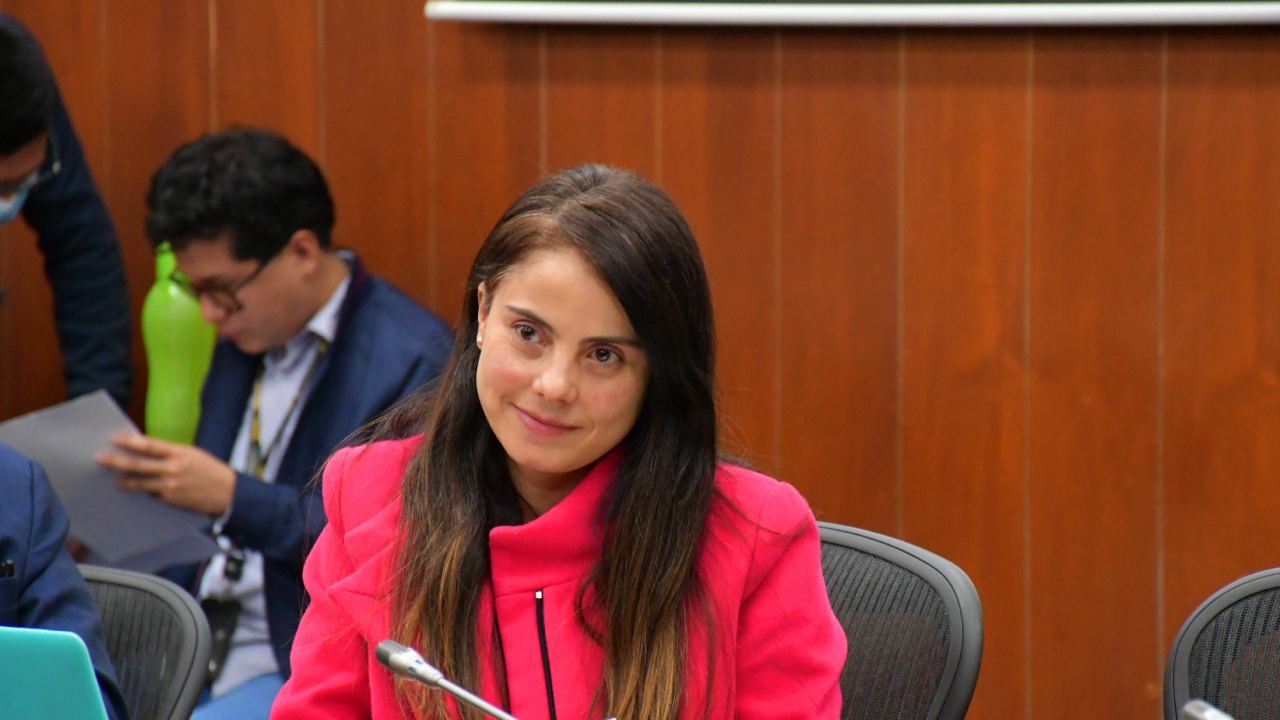 Senadora Esmeralda Hernández.