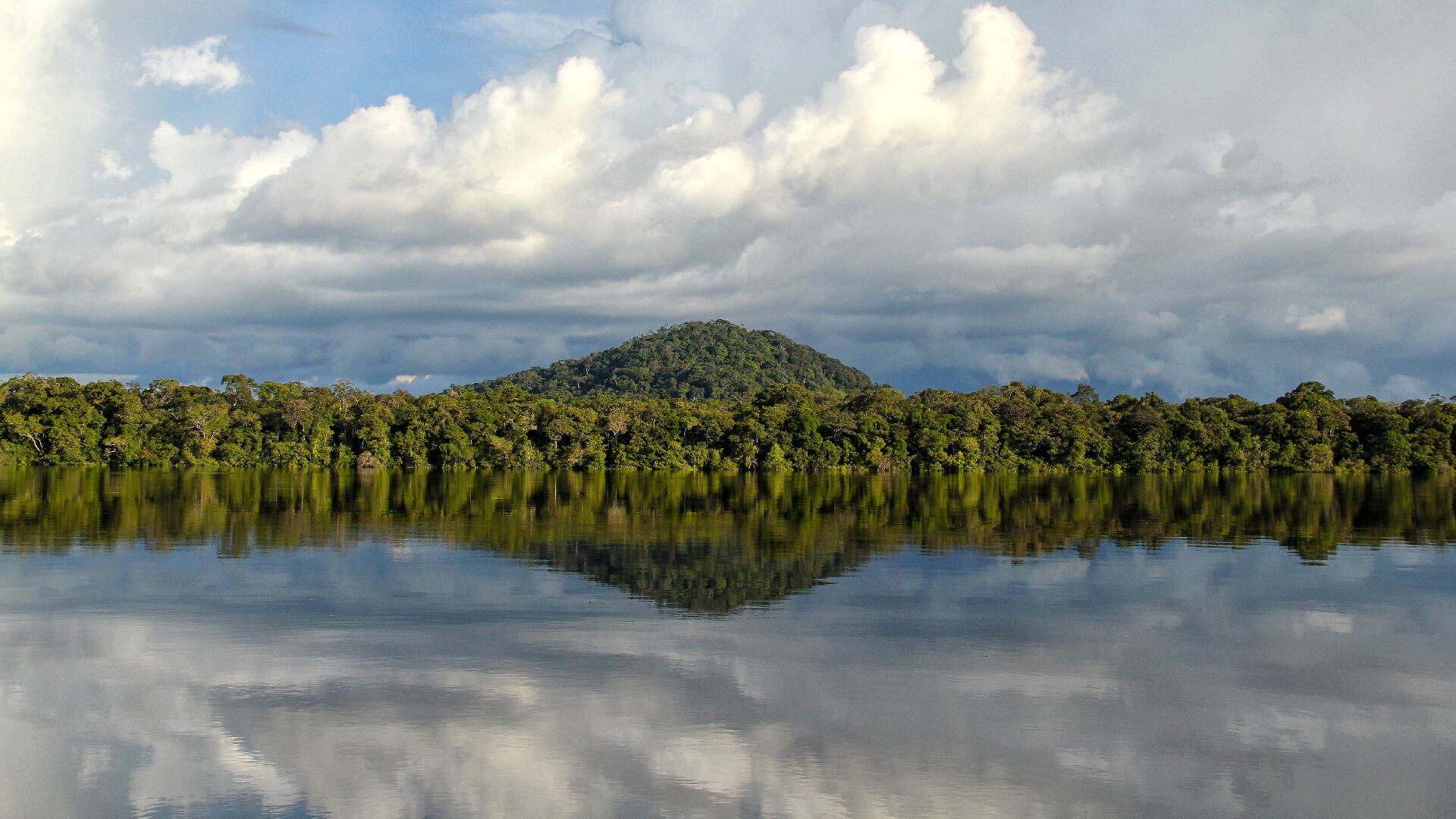 Recuperar el conocimiento tradicional a través de la fauna y la flora se ha convertido en una de las tareas clave del SINCHI.