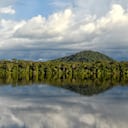 Recuperar el conocimiento tradicional a través de la fauna y la flora se ha convertido en una de las tareas clave del SINCHI.