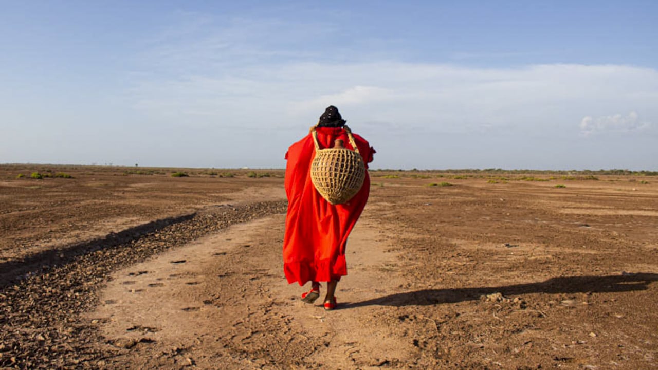 El Gobierno Nacional quiere aprovechar las bondades geográficas de La Guajira para impulsar la transición energética.