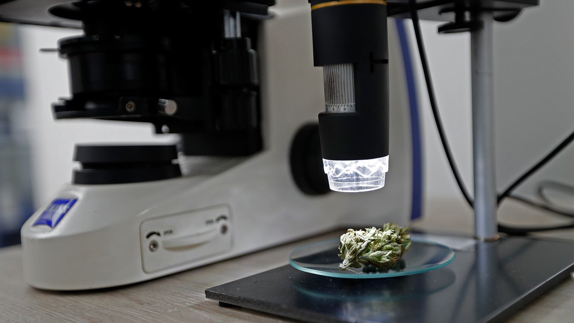 El cannabis se implementa cuando los tratamientos tradicionales han tenido fallo terapéutico en pacientes con dolor crónico.