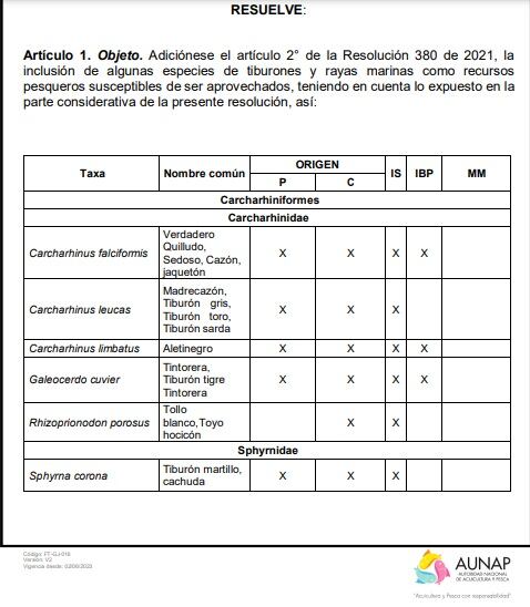 Resolución del Ministerio de Agricultura autoriza la pesca de algunos tiburones y rayas marinas en Colombia.