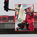 El Metro de Bogotá permitirá el acceso de mascotas bajo varias condiciones.