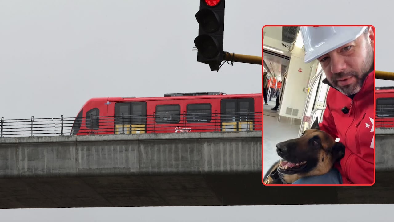 Hashi se convirtió en el primer perro en subir al Metro de Bogotá, durante la fase de pruebas del nuevo sistema.